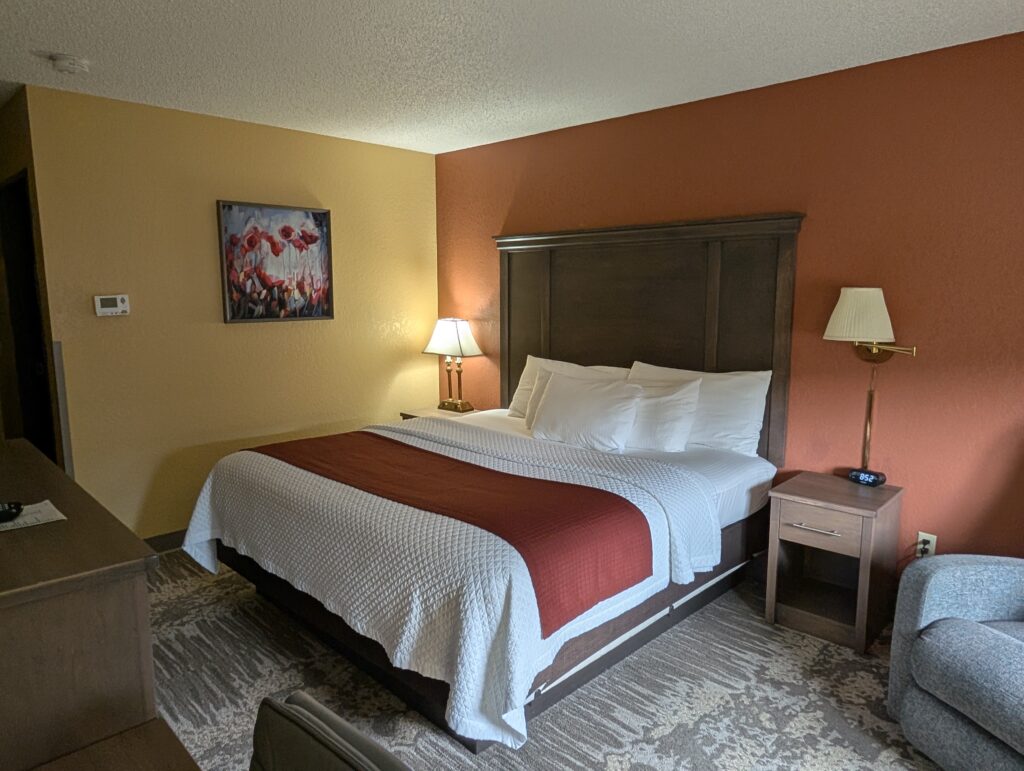 King room at the IM Hotel